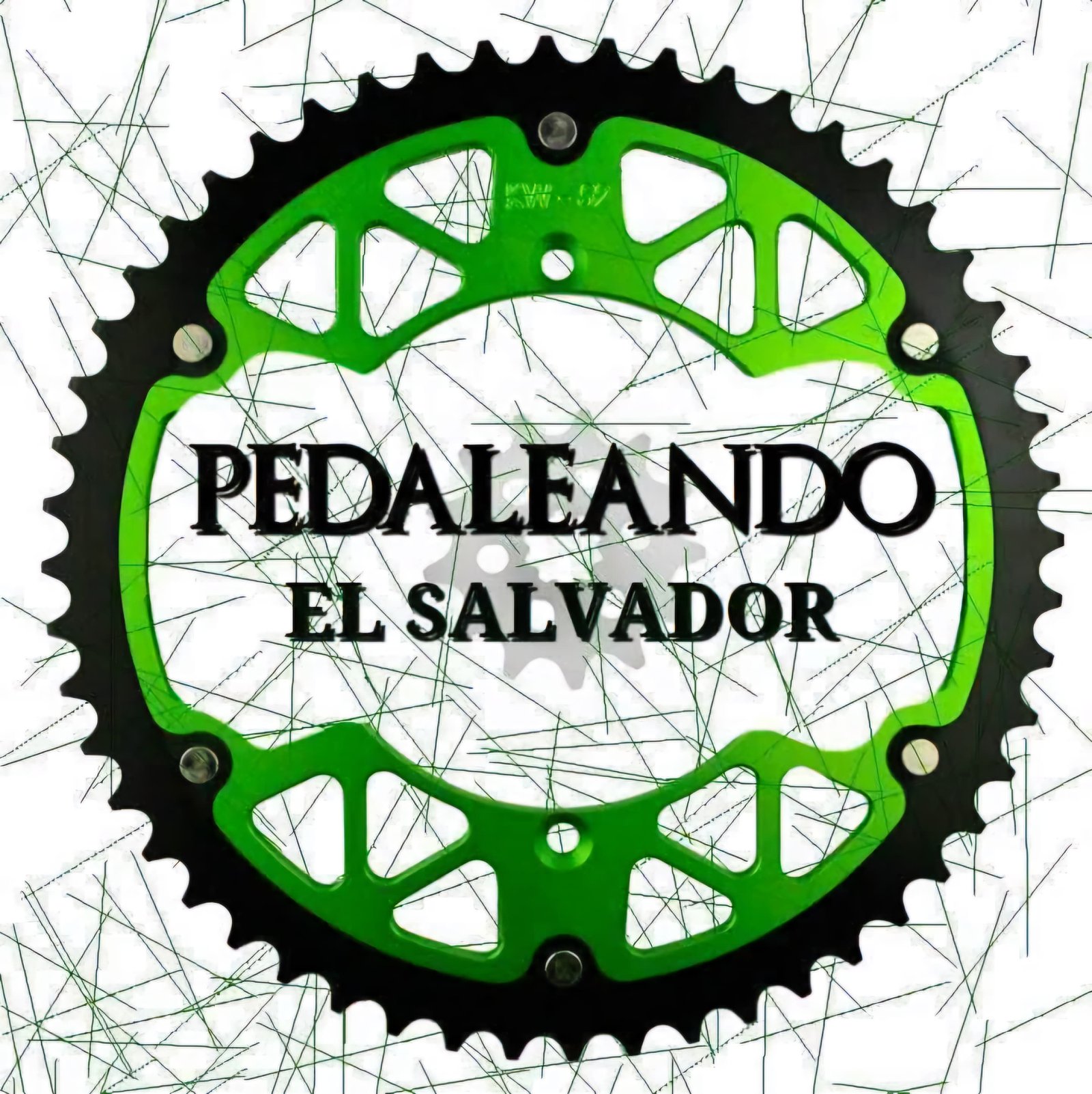 Colectivo aliado 1